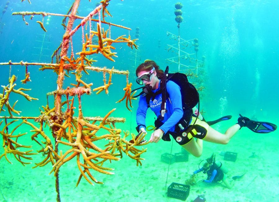 Florida Keys visitors offered new ways to ‘Connect & Protect’ the island chain