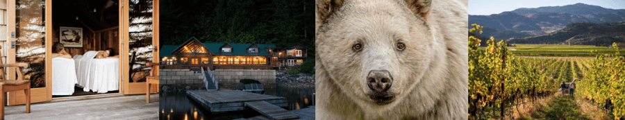 What’s New and Where to be Seen in British Columbia for 2019