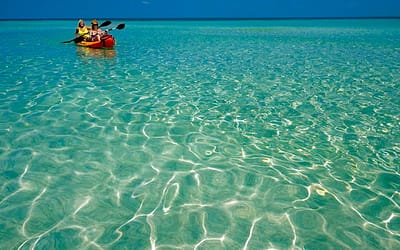 The Florida Keys & Key West: Go Green This Summer